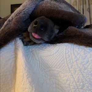 Meet your Posher, Ryan